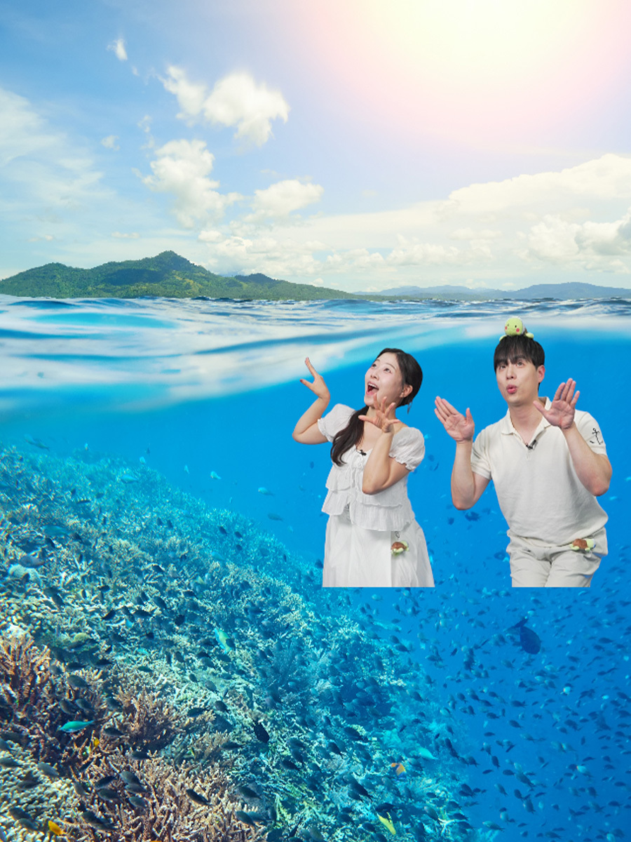 hana-live-item