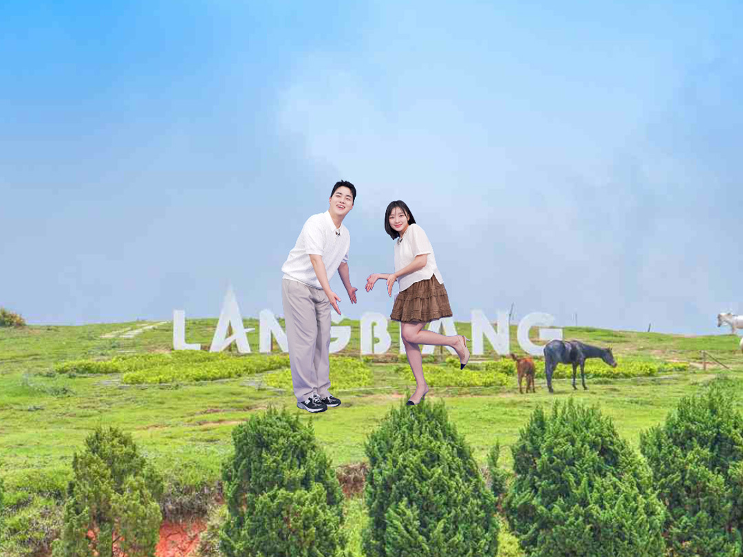 🚌막차찬스🚌 나트랑·달랏 패키지5일 #하나팩2.0