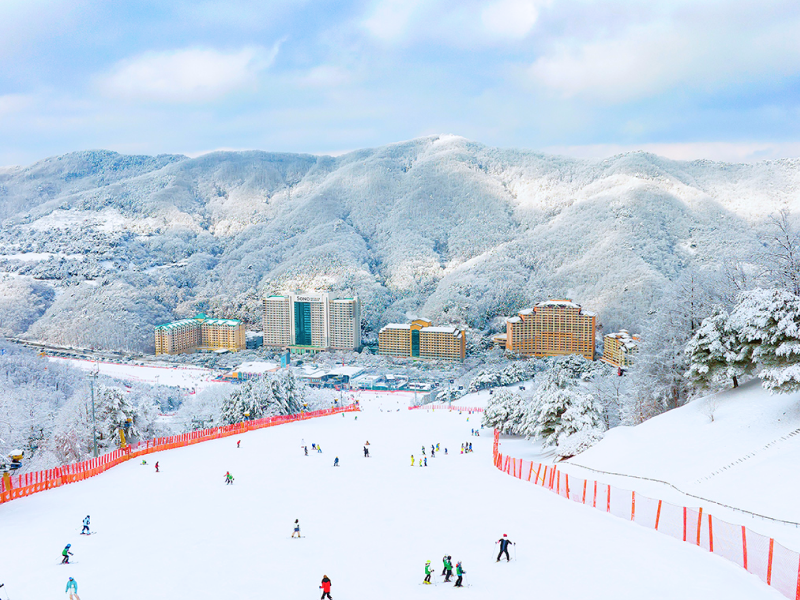 비발디파크 리프트권